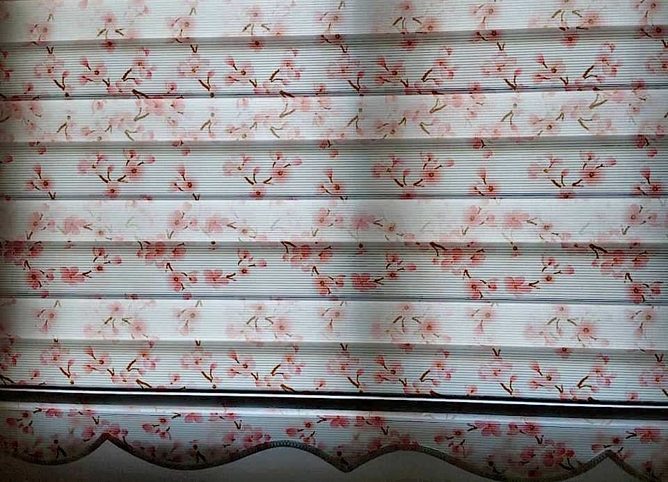 Dijital Baskılı Zebra perde 1